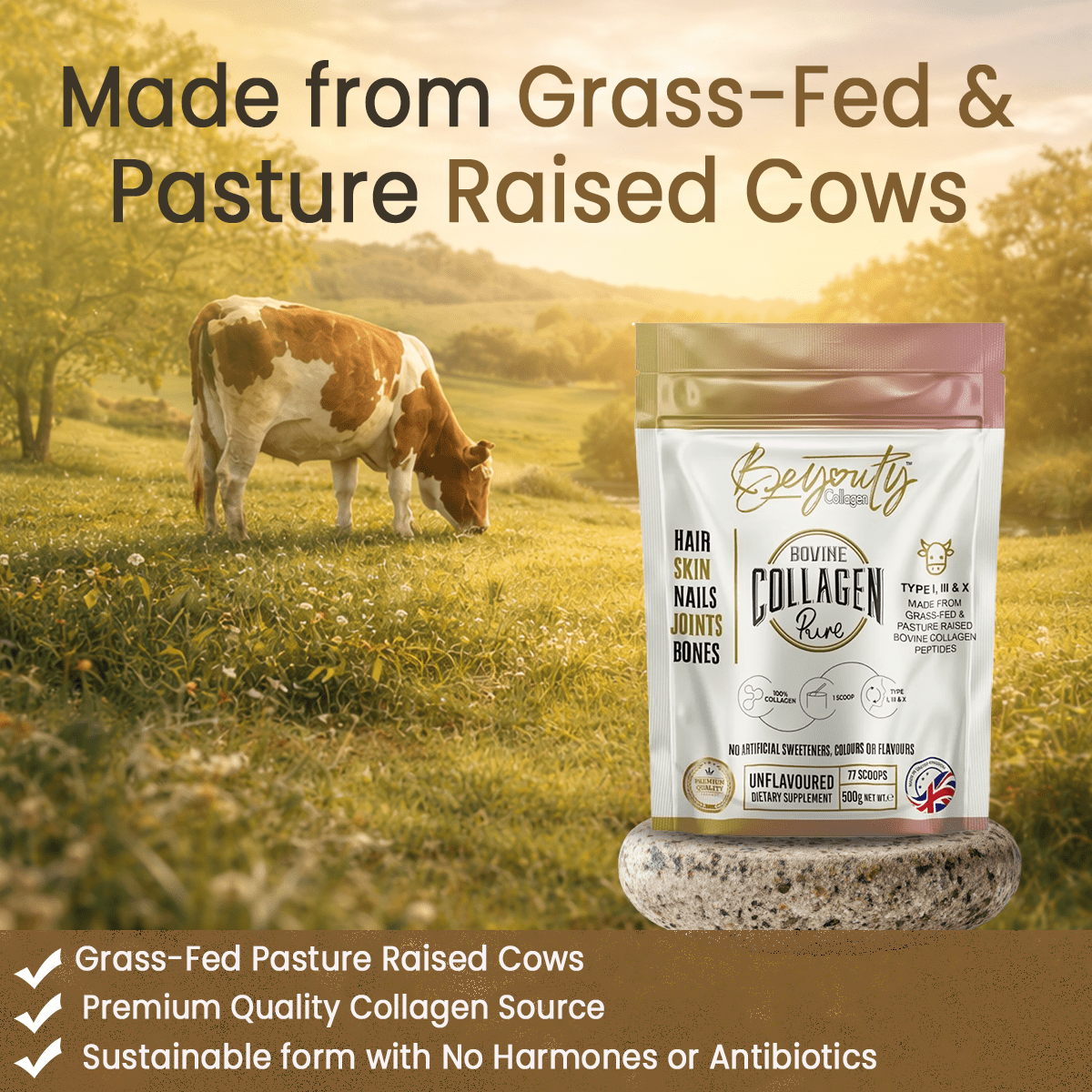 Pure Hydrolysed Bovine Collagen Peptides TYPE I, III & X - 500g