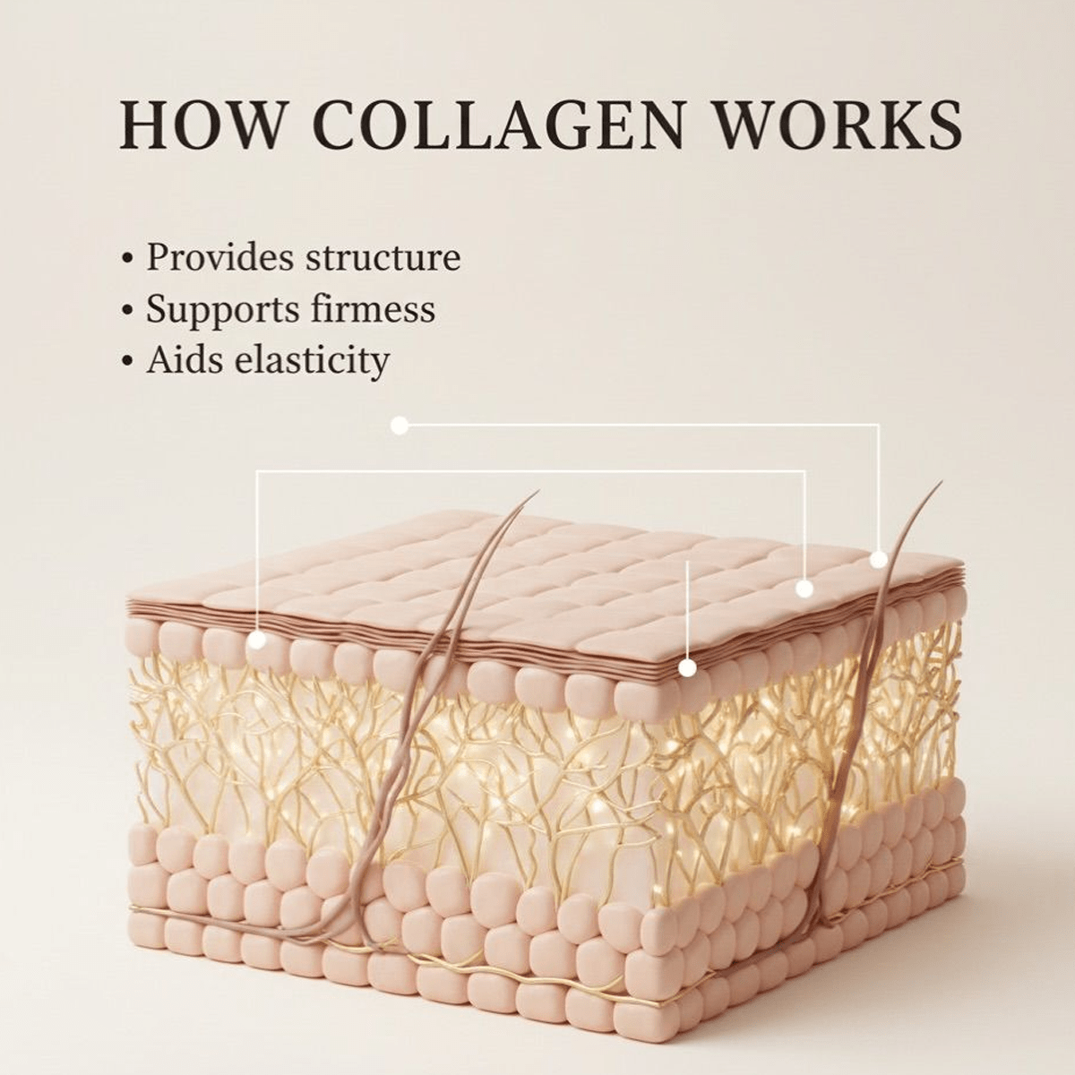 Pure Premium Marine Collagen Hydrolysed Peptides TYPE I - 500g